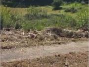 Terreno / Solar en venta Caracas, Venezuela