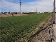 Terreno / Solar en venta Ciudad Juárez, México