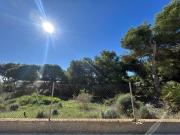 Terreno / Solar en venta Dehesa de Campoamor, Mil...