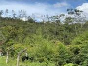 Terreno / Solar en venta Guarne, Departamento de Antioquia