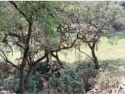 Terreno / Solar en venta Huixquilucan, Estado de México