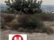 Terreno / Solar en venta Pachuca, Estado de Hidalgo