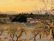 Terreno / Solar en venta Pinoso, Comunidad Valenciana