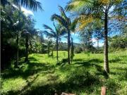 Terreno / Solar en venta Rionegro, Colombia