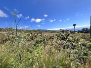 Terreno / Solar en venta Tacoronte, Canarias