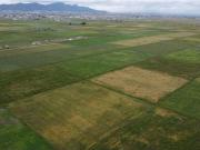 Terreno / Solar en venta Tecámac, Estado de México