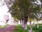 Terreno / Solar en venta Teoloyucan, México