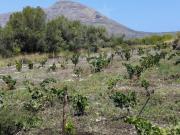 Terreno / Solar Jávea, España