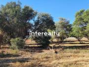 Terreno / Solar Marbella, Andalucía