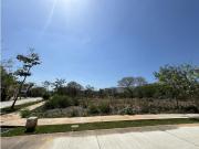 Terreno / Solar Mérida, Yucatán