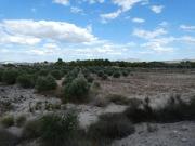 Terreno / Solar Molina de Segura, España