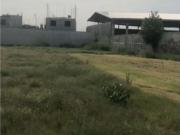 Terreno / Solar Apodaca, México