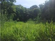 Terreno / Solar Oaxtepec, México