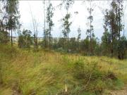 Terreno / Solar Quito, Ecuador