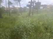 Terreno / Solar Sant Cugat, Cataluña