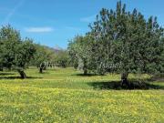 Terreno / Solar Santa Maria del Camí, España