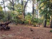 Terreno / Solar Valle de Bravo, México