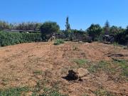 Terreno, Son Ferriol, Palma de Mallorca