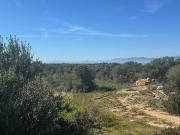 Terreno, Son Gual, Palma de Mallorca