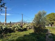 Terreno, Son Sardina, Palma de Mallorca