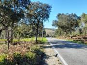 Terreno, Souto de Carpalhosa e Ortigosa, Leiria | BPI...
