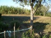 Terreno, Souto de Carpalhosa e Ortigosa, Leiria | BPI...