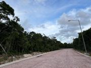 Terreno Supermanzana 295