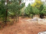 Terreno sustentable Poxtla, Ayapango