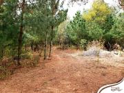 Terreno sustentable Poxtla, Ayapango