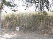 Terreno T0, A Dos Cunhados e Maceira, Torres Vedras |...