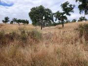 Terreno T0, Abela, Santiago do Cacém | BPI Expresso...