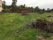Terreno T0, Aguda, Figueiró dos Vinhos | BPI Expresso...