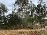 Terreno T0, Águeda e Borralha, Águeda | BPI Expresso...