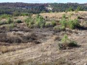 Terreno T0, Aguiar Da Beira e Coruche, Aguiar da Beira |...