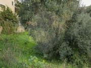 Terreno T0, Alhandra, São João Dos Montes e Calhandriz,...