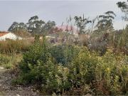 Terreno T0, Aljubarrota, Alcobaça | BPI Expresso Imobiliário