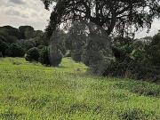 Terreno T0, Almoster, Santarém | BPI Expresso Imobiliário