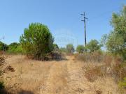 Terreno T0, Almoster, Santarém | BPI Expresso Imobiliário