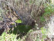 Terreno T0, Alpedrinha, Fundão | BPI Expresso Imobiliário