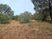 Terreno T0, Alvaiázere, Alvaiázere | BPI Expresso...