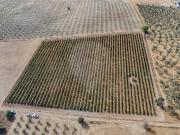 Terreno T0, Amareleja, Moura | BPI Expresso Imobiliário