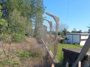 Terreno T0, Amor, Leiria | BPI Expresso Imobiliário