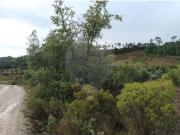 Terreno T0, Assentiz, Torres Novas | BPI Expresso...