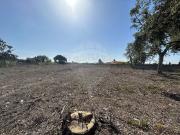 Terreno T0, Azeitão São Lourenço e São Simão, Setúbal |...