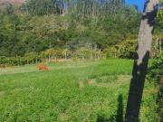 Terreno T0, Azias, Ponte da Barca | BPI Expresso Imobiliário