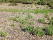 Terreno T0, Azueira e Sobral Da Abelheira, Mafra | BPI...