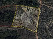 Terreno T0, Bemposta, Abrantes | BPI Expresso Imobiliário