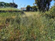 Terreno T0, Benquerenças, Castelo Branco | BPI Expresso...