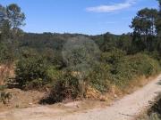 Terreno T0, Boaaldeia, Farminhão e Torredeita, Viseu |...