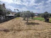 Terreno T0, Bodiosa, Viseu | BPI Expresso Imobiliário